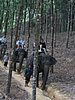 104_0432.JPG