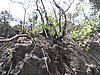 104_0455.JPG