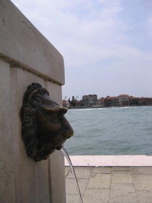 IMG_0569.jpg