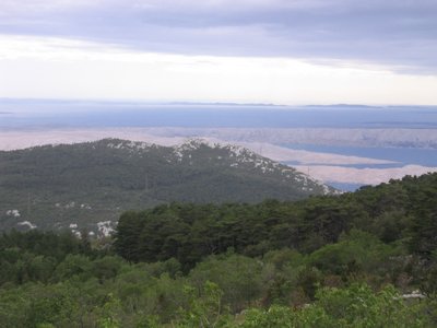 IMG_0593.jpg