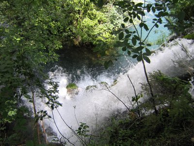 IMG_0600.jpg