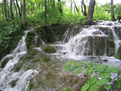 IMG_0603.jpg