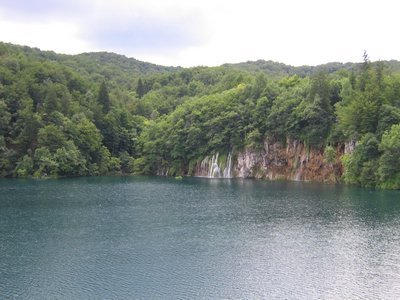 IMG_0611.jpg