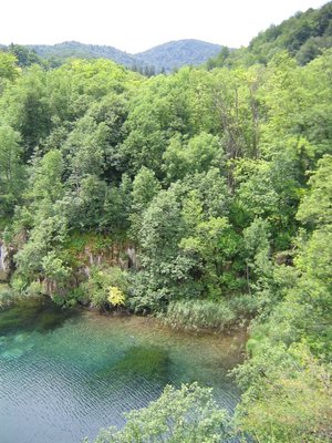 IMG_0613.jpg