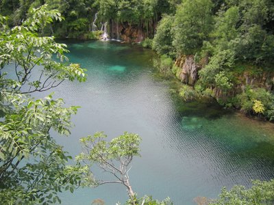 IMG_0614.jpg