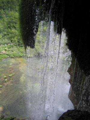 IMG_0615.jpg