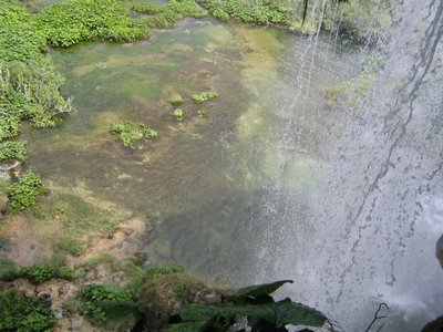 IMG_0616.jpg