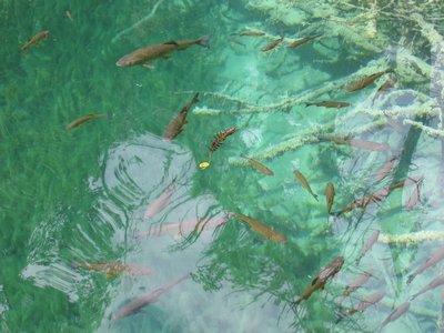 IMG_0623.jpg