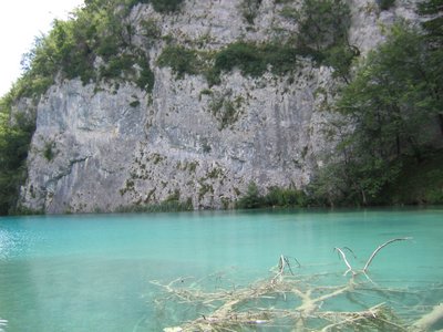 IMG_0628.jpg