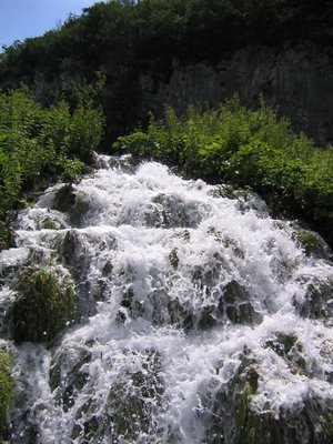 IMG_0630.jpg