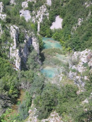 IMG_0633.jpg