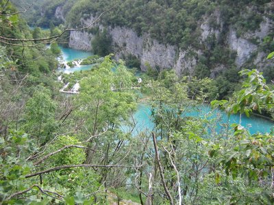 IMG_0636.jpg