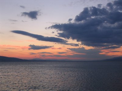 IMG_0645.jpg