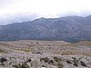 IMG_0587.jpg