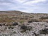 IMG_0588.jpg