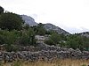 IMG_0591.jpg