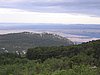 IMG_0593.jpg
