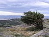 IMG_0595.jpg
