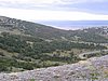 IMG_0596.jpg