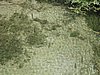 IMG_0598.jpg