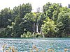 IMG_0602.jpg