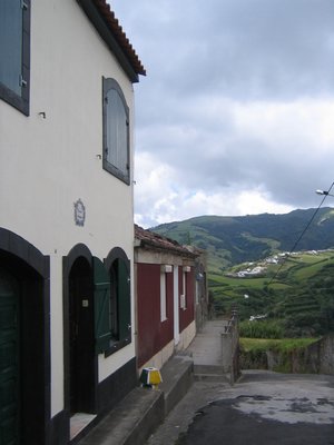 IMG_0356.jpg
