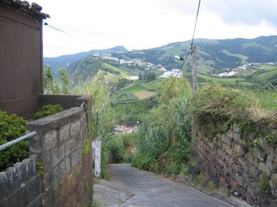 IMG_0358.jpg