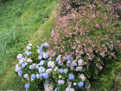 IMG_0360.jpg