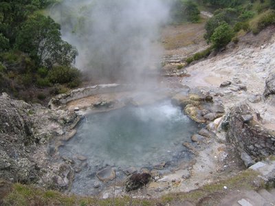 IMG_0366.jpg