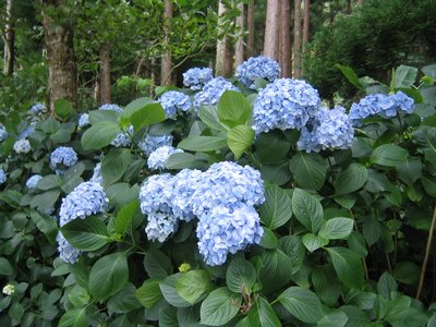 IMG_0374.jpg