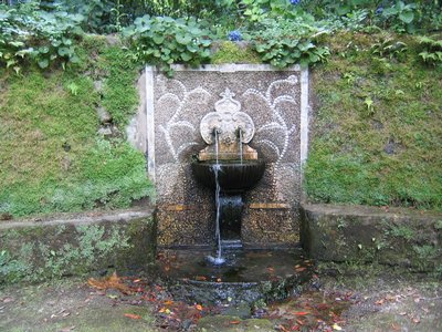 IMG_0393.jpg