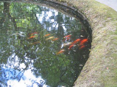 IMG_0396.jpg