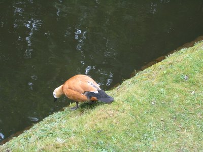 IMG_0400.jpg