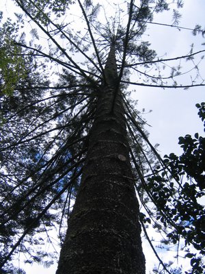 IMG_0401.jpg
