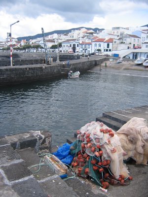 IMG_0403.jpg