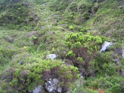 IMG_0413.jpg