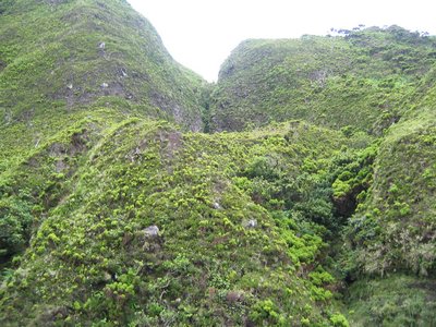 IMG_0416.jpg