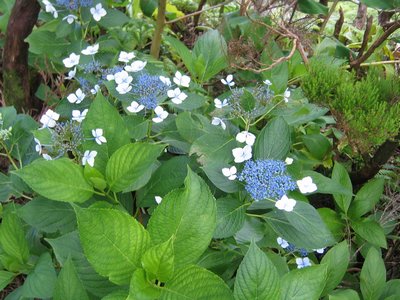 IMG_0417.jpg
