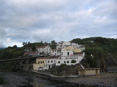 IMG_0429.jpg