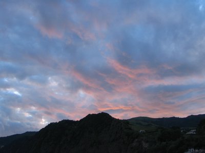 IMG_0431.jpg