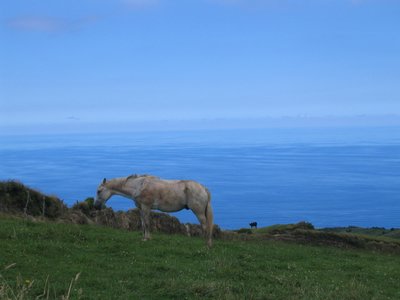IMG_0440.jpg