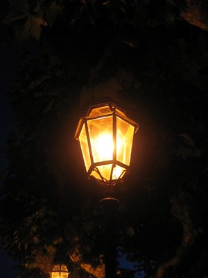 IMG_0446.jpg