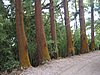 IMG_0376.jpg