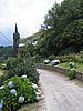 IMG_0378.jpg