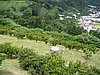 IMG_0381.jpg