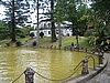 IMG_0382.jpg