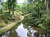 IMG_0383.jpg