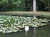 IMG_0399.jpg