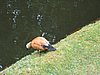 IMG_0400.jpg