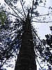 IMG_0401.jpg